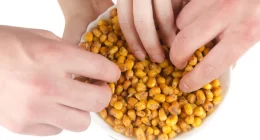 Fried Corn nutrients benefits and down side
