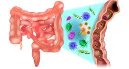 Gut Microbiota: Illuminating the Path to New Alzheimer's Therapies
