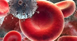 HIV virus found to possess hidden transport ability