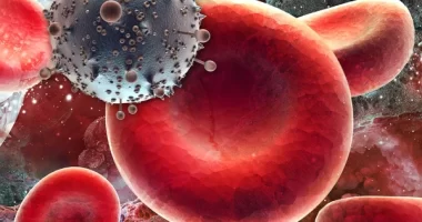 HIV virus found to possess hidden transport ability