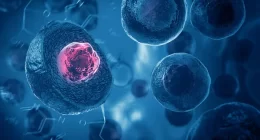 How Immune cells shape our earliest breaths