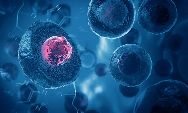 How Immune cells shape our earliest breaths