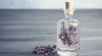 Oil good for Atopic dermatitis: Is Lavender essential oil effective to calm Itchy skin?