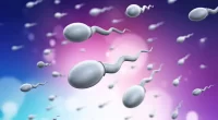 Semen Microbiome May Influence Male Fertility, New Research Suggests