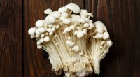 Mushroom Consumption linked to Better Cognitive Performance - Study