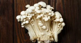 Mushroom Consumption linked to Better Cognitive Performance - Study