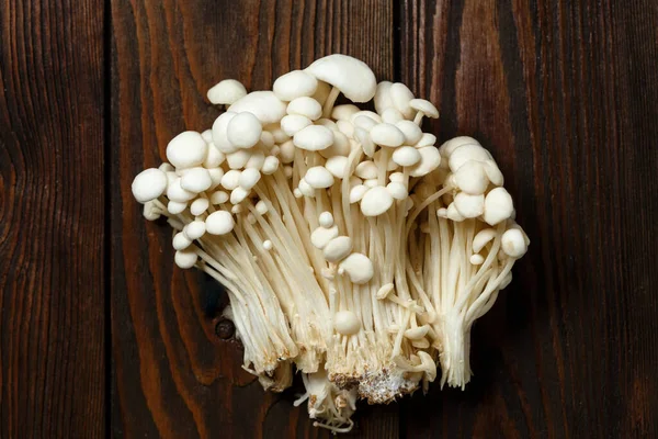 Mushroom Consumption linked to Better Cognitive Performance - Study