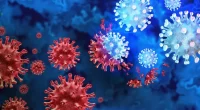 Omicron variants evade immune defenses like predecessors, suggesting a key adaptation in SARS-CoV-2 evolution.