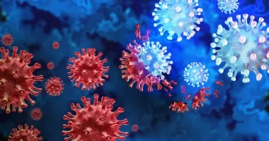 Omicron variants evade immune defenses like predecessors, suggesting a key adaptation in SARS-CoV-2 evolution.
