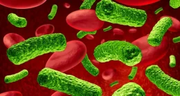 Burned patients: New blood test might spot deadly sepsis early!
