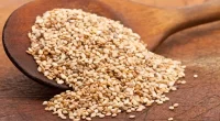 Sesame Peptides Show Potential as Antibacterial Agents