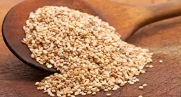 Sesame Peptides Show Potential as Antibacterial Agents