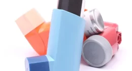 Gut phages may be involved in the development of asthma - Study