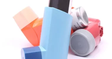 Gut phages may be involved in the development of asthma - Study