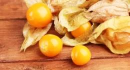 Health benefits of golden berries in diabetic and obese