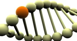 New Parkinson's treatment focuses on stopping toxic protein production