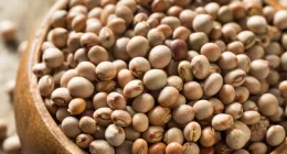 8 Proven Health Benefits of Fio Fio (Pigeon peas)