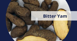 8 Incredible Health Benefits of Ona (Bitter Yam)