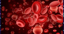 6 Water-Rich Fruits That Clean Blood Vessels