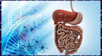 Study Establishes The Influence Of Gut Microbiome Modulation On Social Behavior