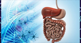 Study Establishes The Influence Of Gut Microbiome Modulation On Social Behavior