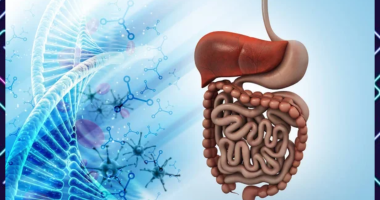 Study Establishes The Influence Of Gut Microbiome Modulation On Social Behavior