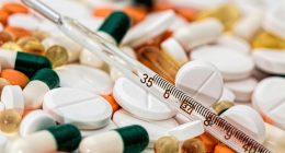 Recent Research on Anti-Obesity Medications Highlights the Growing Range of Pharmacological Options
