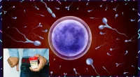 Unhealthy Sperm: Symptoms, Causes and Solution