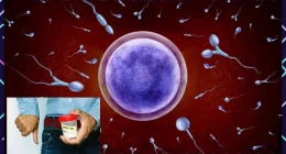 Unhealthy Sperm: Symptoms, Causes and Solution
