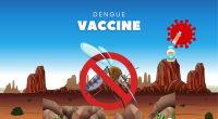 Phase 3 Trials for Indigenous Dengue Vaccine Begin: What to Know