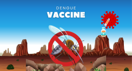 Phase 3 Trials for Indigenous Dengue Vaccine Begin: What to Know