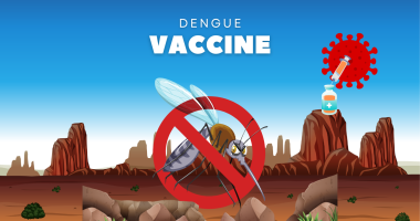 Phase 3 Trials for Indigenous Dengue Vaccine Begin: What to Know