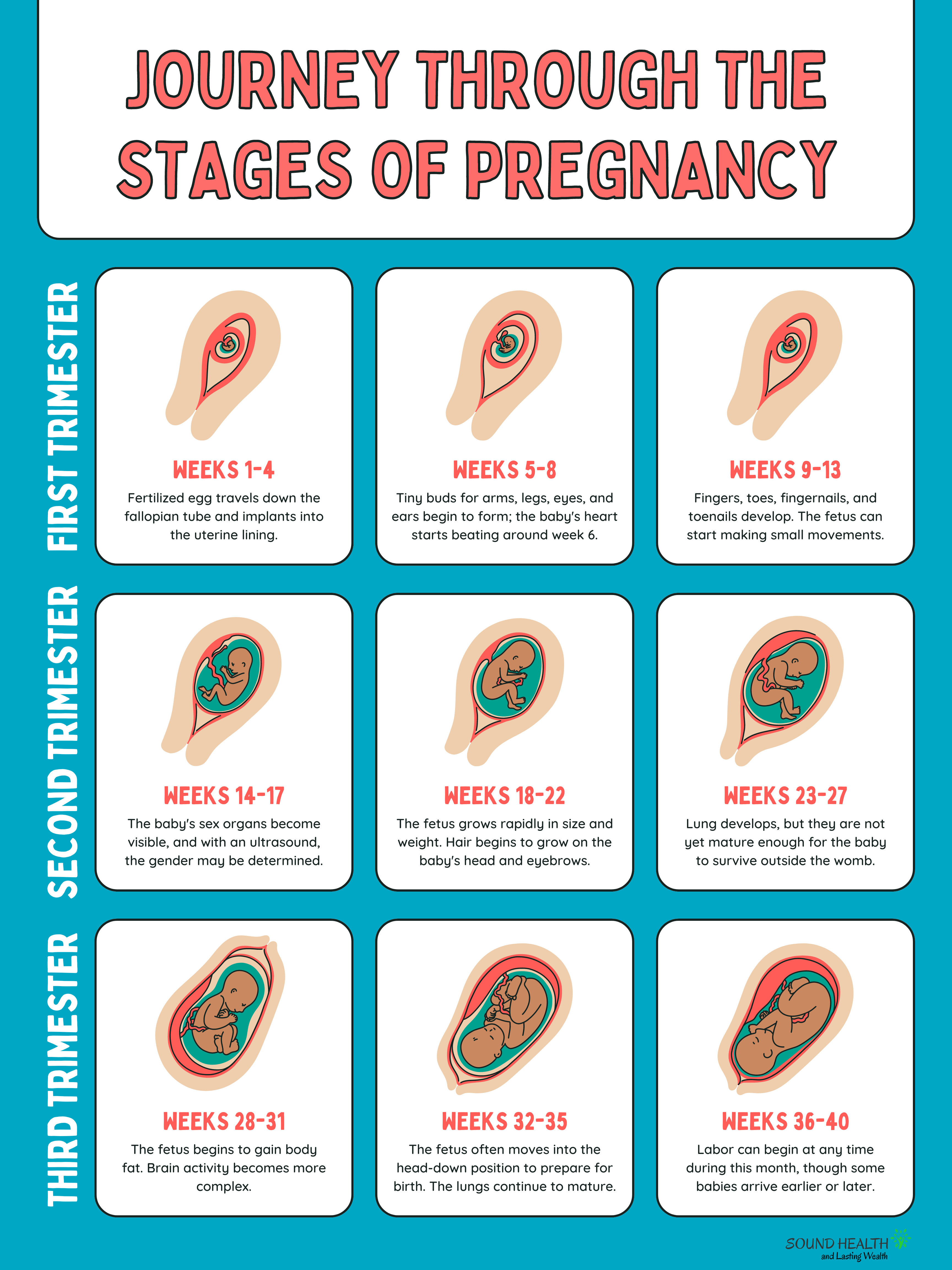 Conquer Pregnancy Back Pain: Physiotherapy Exercises for Relief