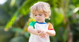 Dengue in Infants: Essential Warning Signs Every Parent Must Know