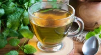 Does the Viral Lemon Balm Drink Really Aid Weight Loss? What Dietitians Want You to Know