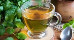 Does the Viral Lemon Balm Drink Really Aid Weight Loss? What Dietitians Want You to Know