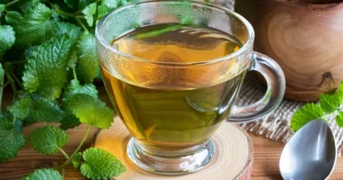 Does the Viral Lemon Balm Drink Really Aid Weight Loss? What Dietitians Want You to Know