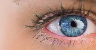 Top 6 Foods for Eye Health: Boost Vision and Prevent Issues