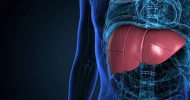 Everything You Need to Know About Rezdiffra for Fatty Liver