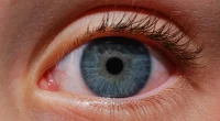 How to Naturally Get Rid of Eye Floaters: Simple Home Remedies