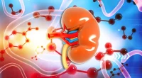 Can Kidney Disease Be Reversed? Essential Self-Care Tips Revealed