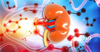 Can Kidney Disease Be Reversed? Essential Self-Care Tips Revealed