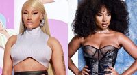 Nicki Minaj Shades Megan Thee Stallion Over Lawsuit Drama