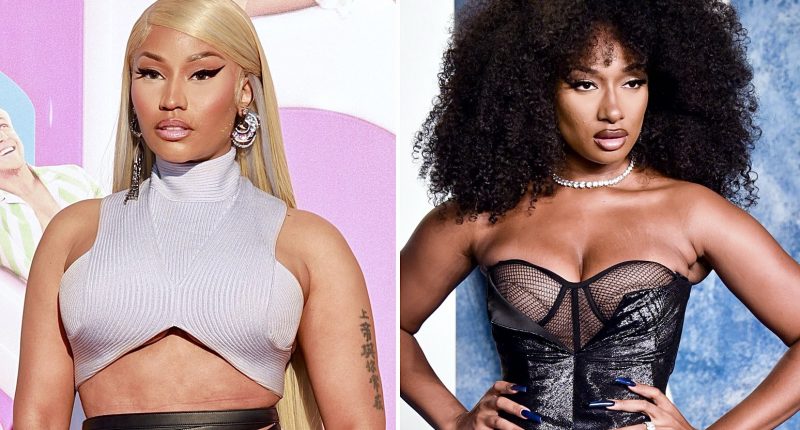 Nicki Minaj Shades Megan Thee Stallion Over Lawsuit Drama