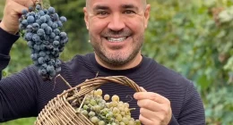 Food Influencer Faces Skull Surgery After Hit-and-Run Trauma