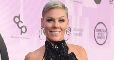 Pink Recovers from E. Coli Infection with IV Therapy