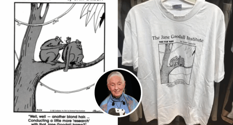 What Happened Between Gary Larson and Jane Goodall?