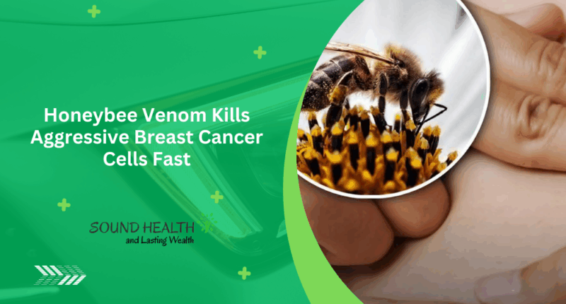 Honeybee Venom Kills Aggressive Breast Cancer Cells Fast