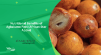 Nutritional Benefits of Agbalumo Peel (African Star Apple)