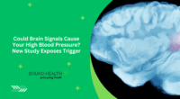 Could Brain Signals Cause Your High Blood Pressure? New Study Exposes Trigger